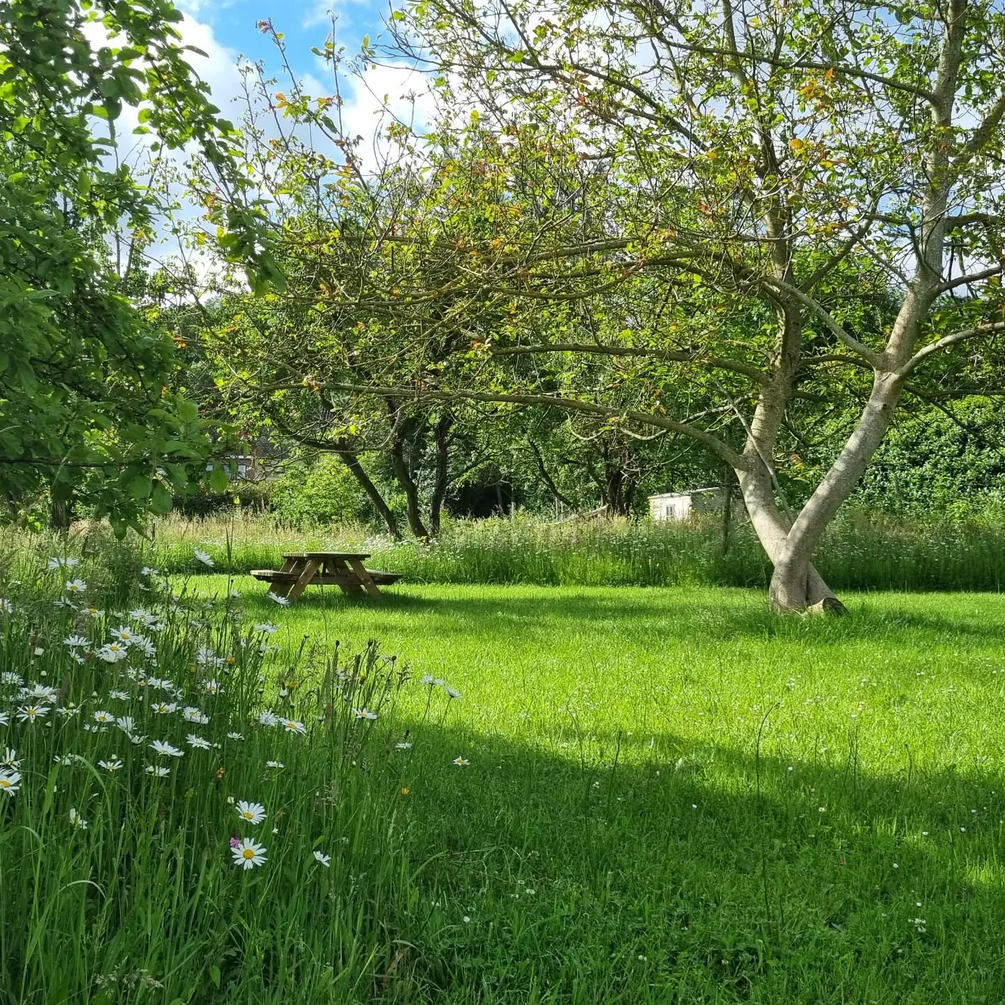 Duurzame tuinontwerpen voor ieders budget