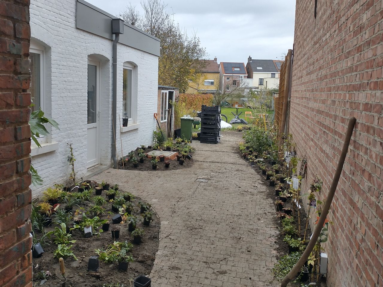 Uitzetten van de planten. Overweldigd door het aantal? Dan helpen we graag een handje!