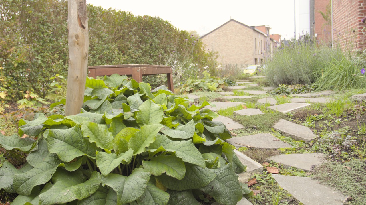 Stadstuin in Leuven: Speels klimaat voor kleine avonturiers