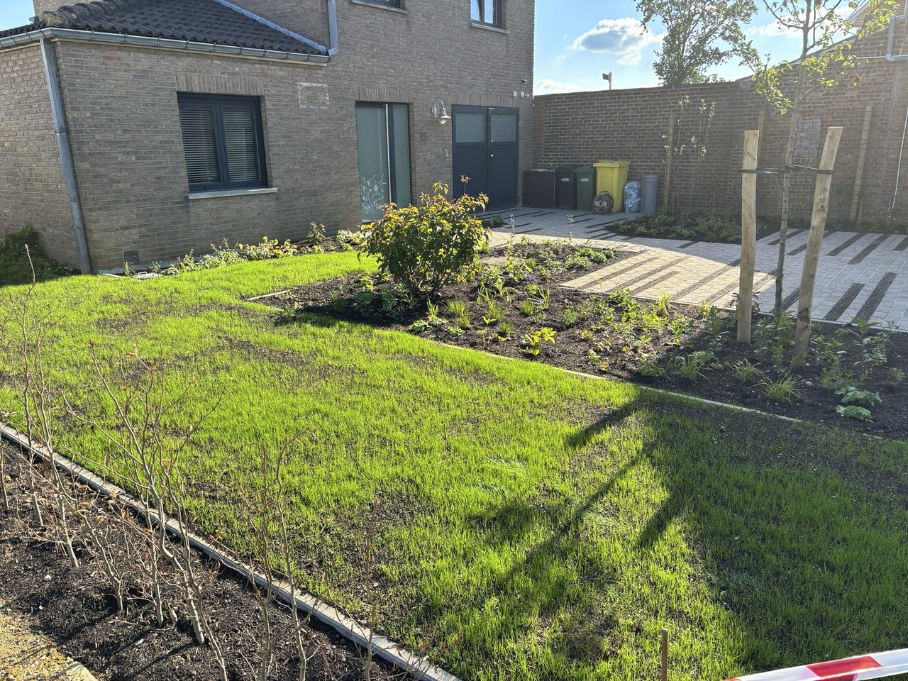 Groene functionele oprit in Ottenburg - eerste groeijaar beplanting - atelier b2