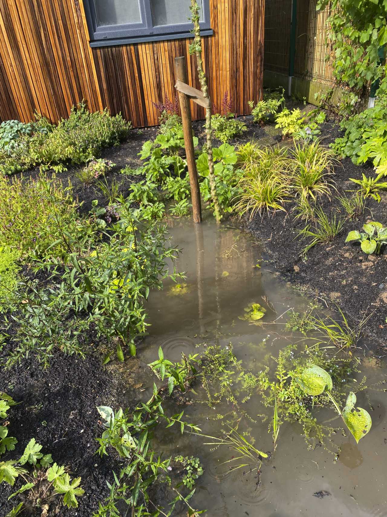 Een bloeiende klimaat stadstuin met wadi tijdens het de winterperiode - atelier b2