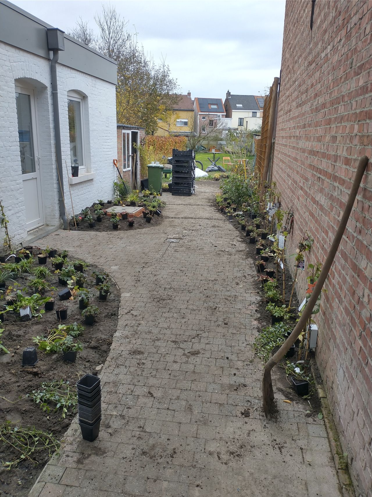 Beplanting uitzetten voor een gezellige smalle gezinstuin met groene jungle koer - atelier b2 - atelier b2